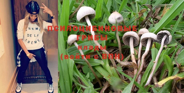 не бодяженный Михайлов