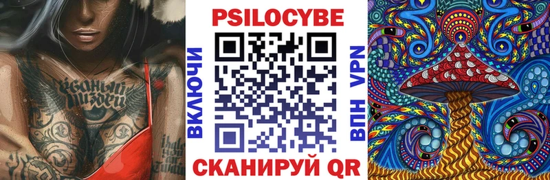 OMG ССЫЛКА  Уржум  Псилоцибиновые грибы прущие грибы 